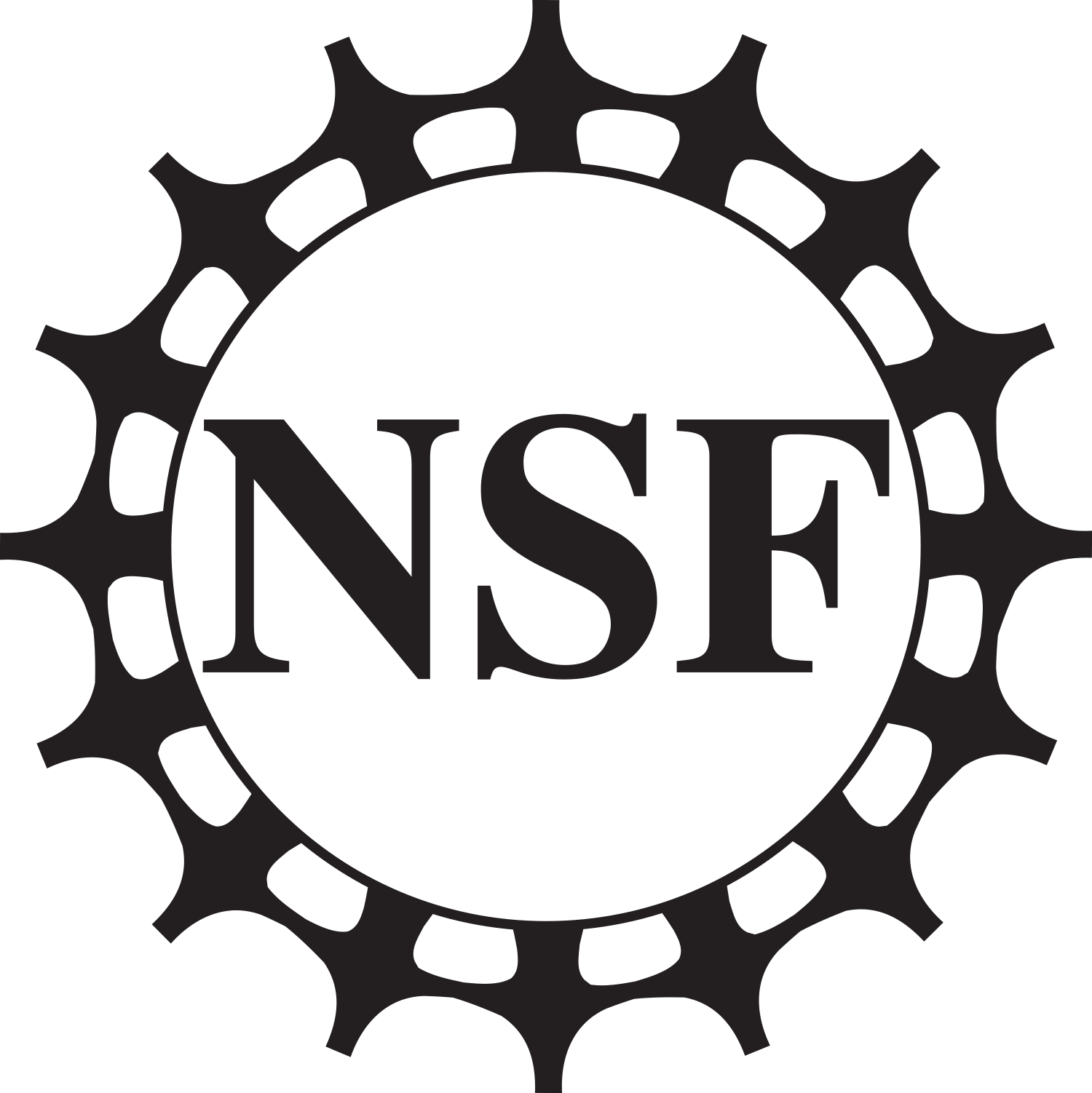 The National Science Foundation logo with the letters N S F inside a circle