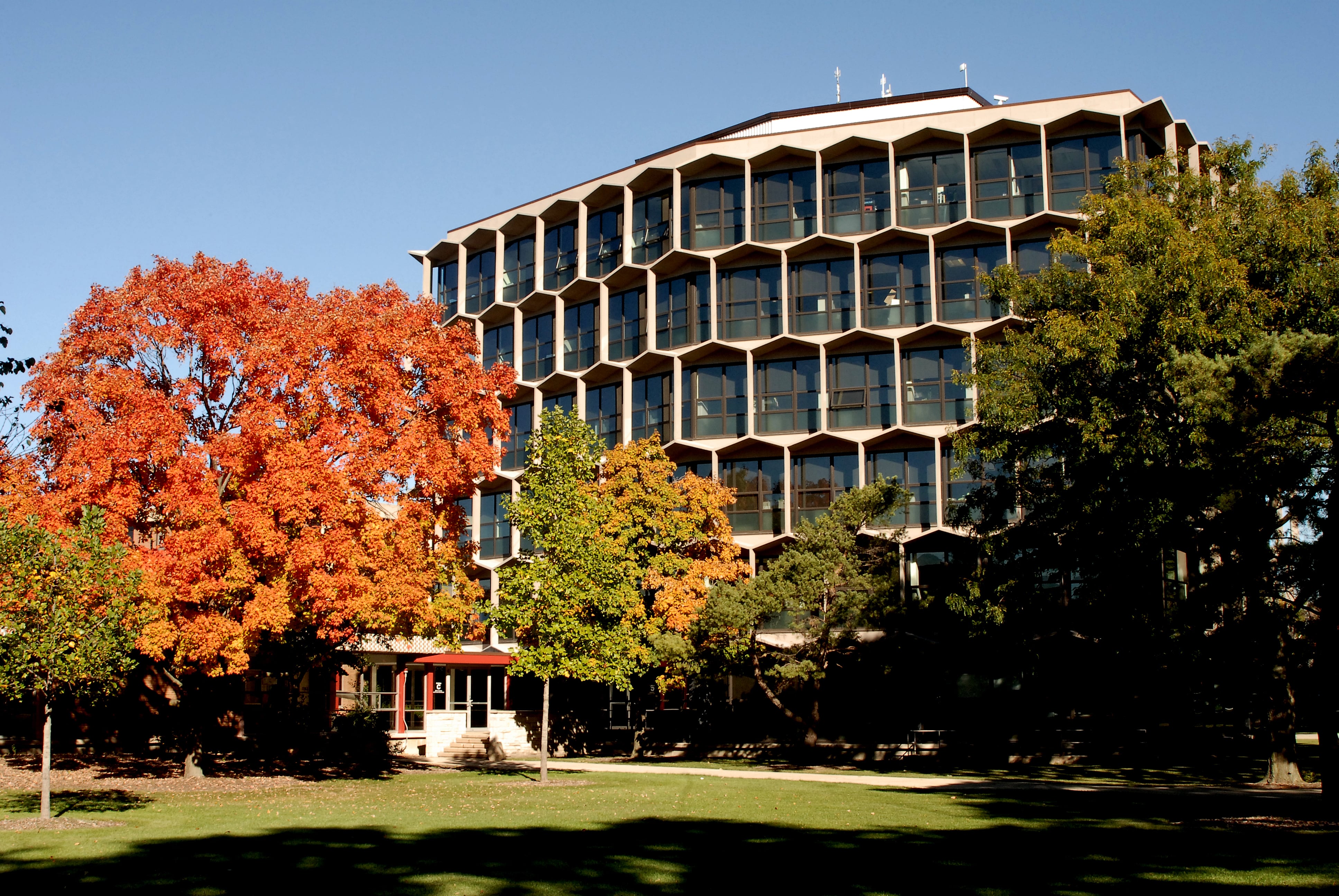 Trees change color in front of the Jerome M. Sachs Administrative Building on NEIU's Main Campus