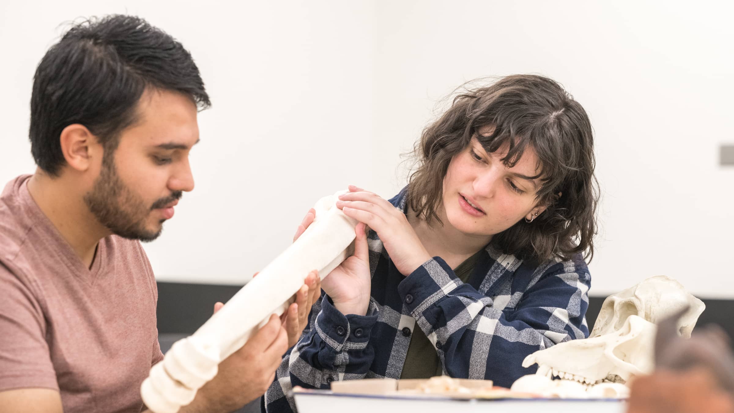 A male student and a female student observe artifacts in a class for NEIU's BA in Anthropology