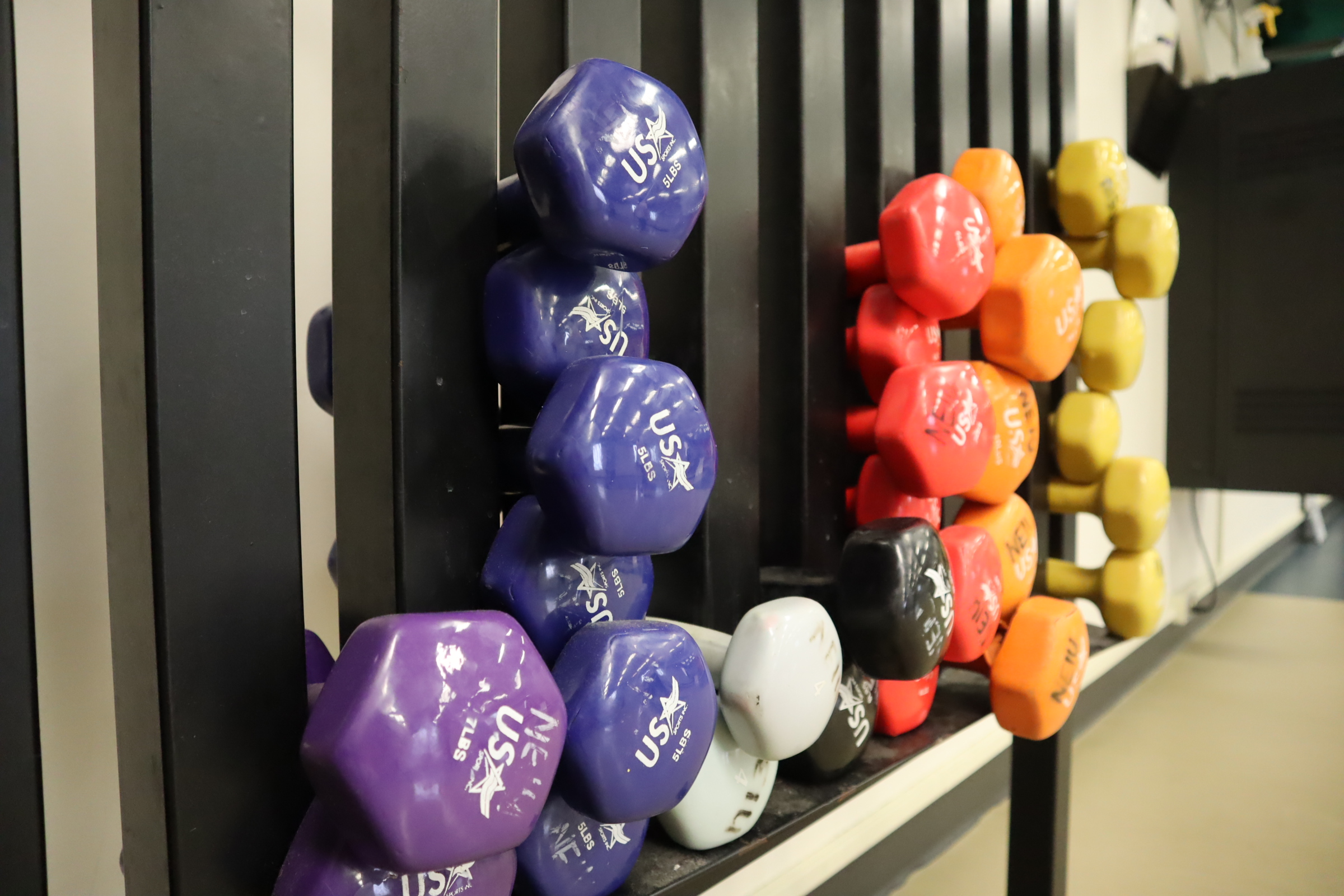 Picture displaying weight rack holding different colored weights.