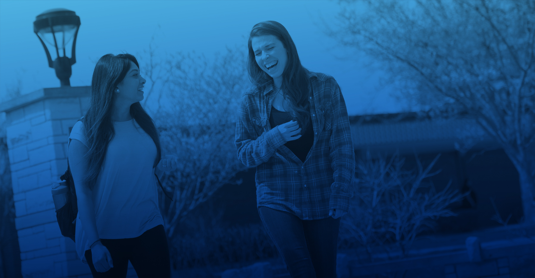 Northeastern students