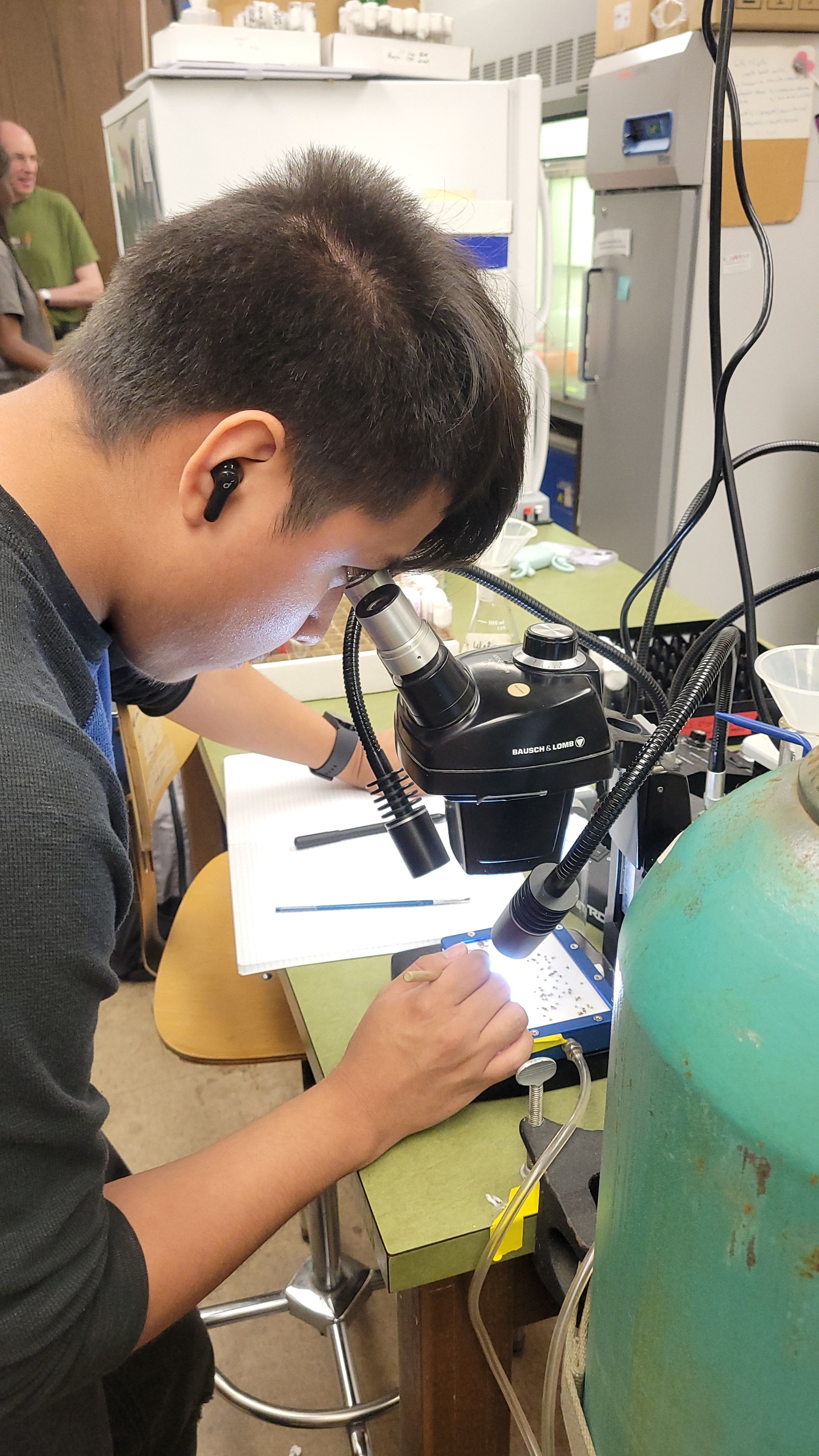 Research Student Working