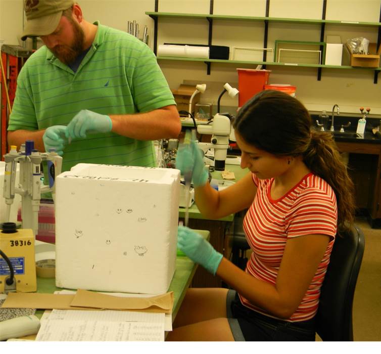 Professor Cantu students conducting research.