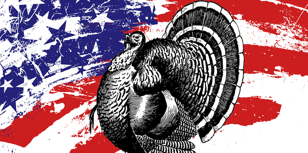 Promotional image for November with a turkey against a red white and blue background
