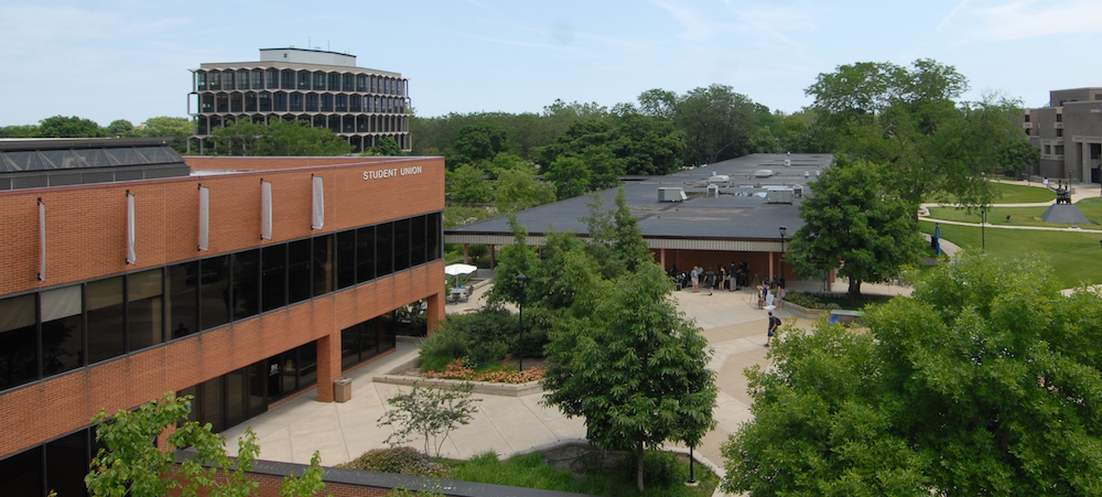 Northeastern Illinois University Commons