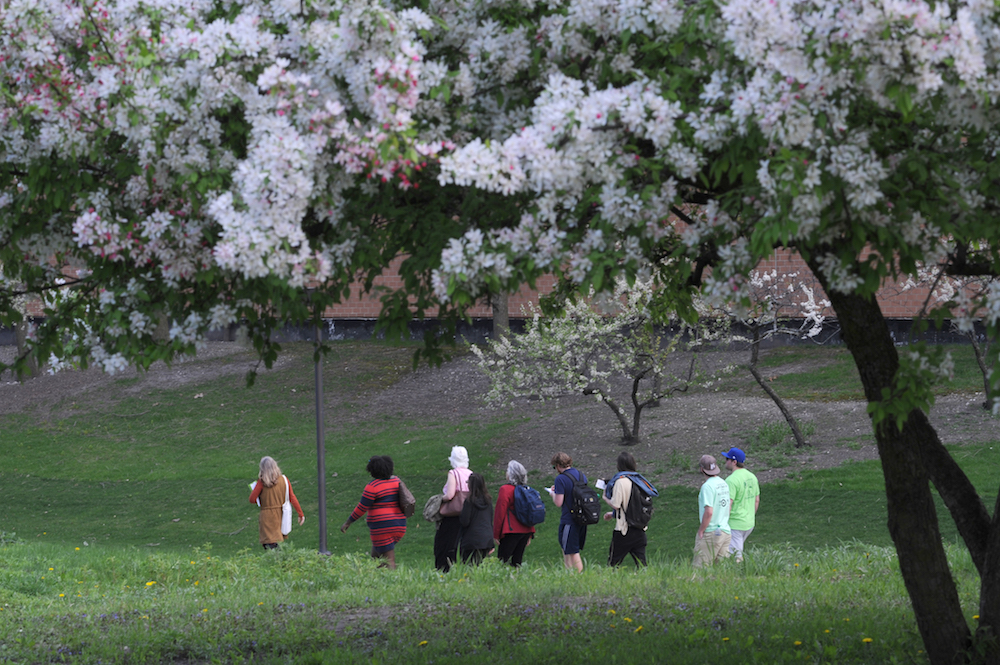 Students walk across the Main Campus during Arbor Day festivities.