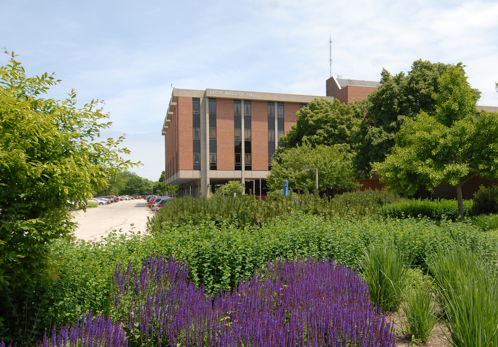 Exterior view of Lech Walesa Hall in summer with purple flowering plants in the foreground