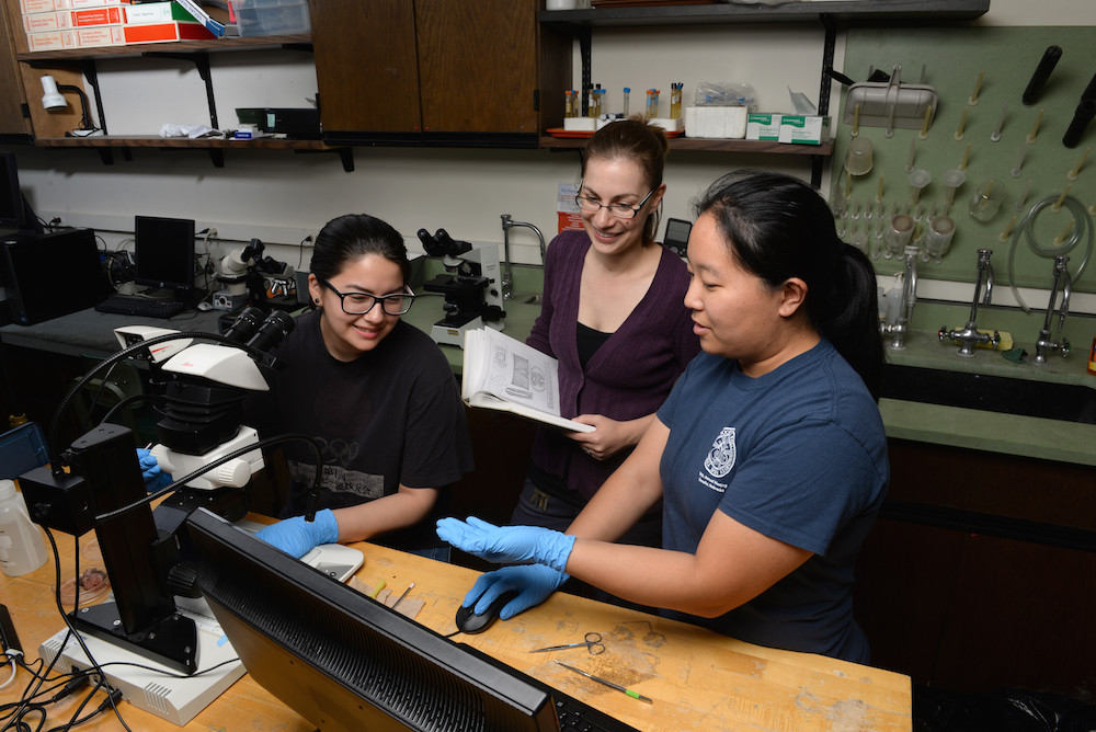 Jennifer Kawaguchi (left) and Olivia Choi (right) work with Assistant Professor of Biology Sarah Orlofske.
