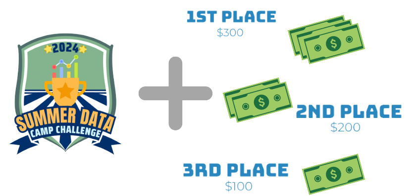 summer data camp challenge