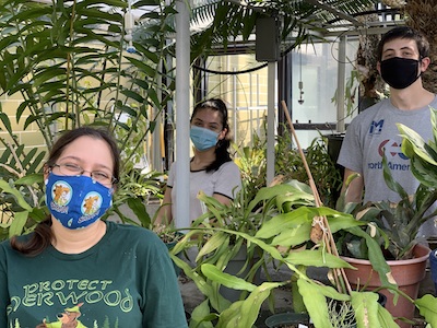 Three students wearing face masks stand together in the NEIU greenhouse