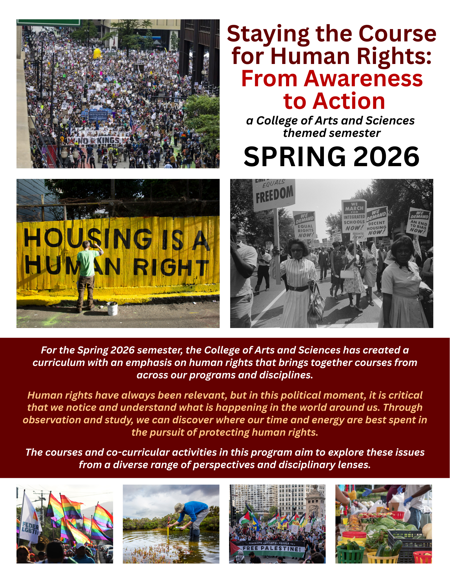 Human Rights graphic