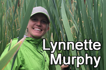 Lynnette Murphy
