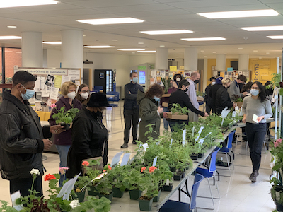 People gather in Village Hall to browse the plants at the Biology plant sale
