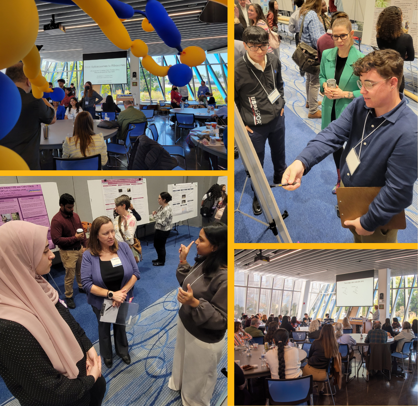 Collage of past poster sessions and talks