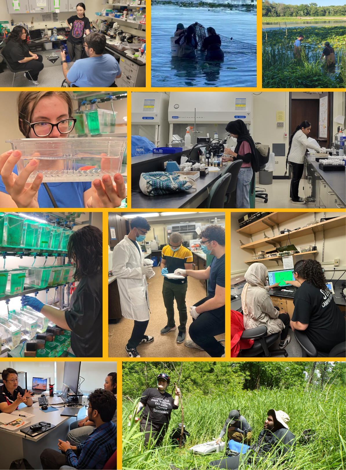 SCSE Summer Research Collage