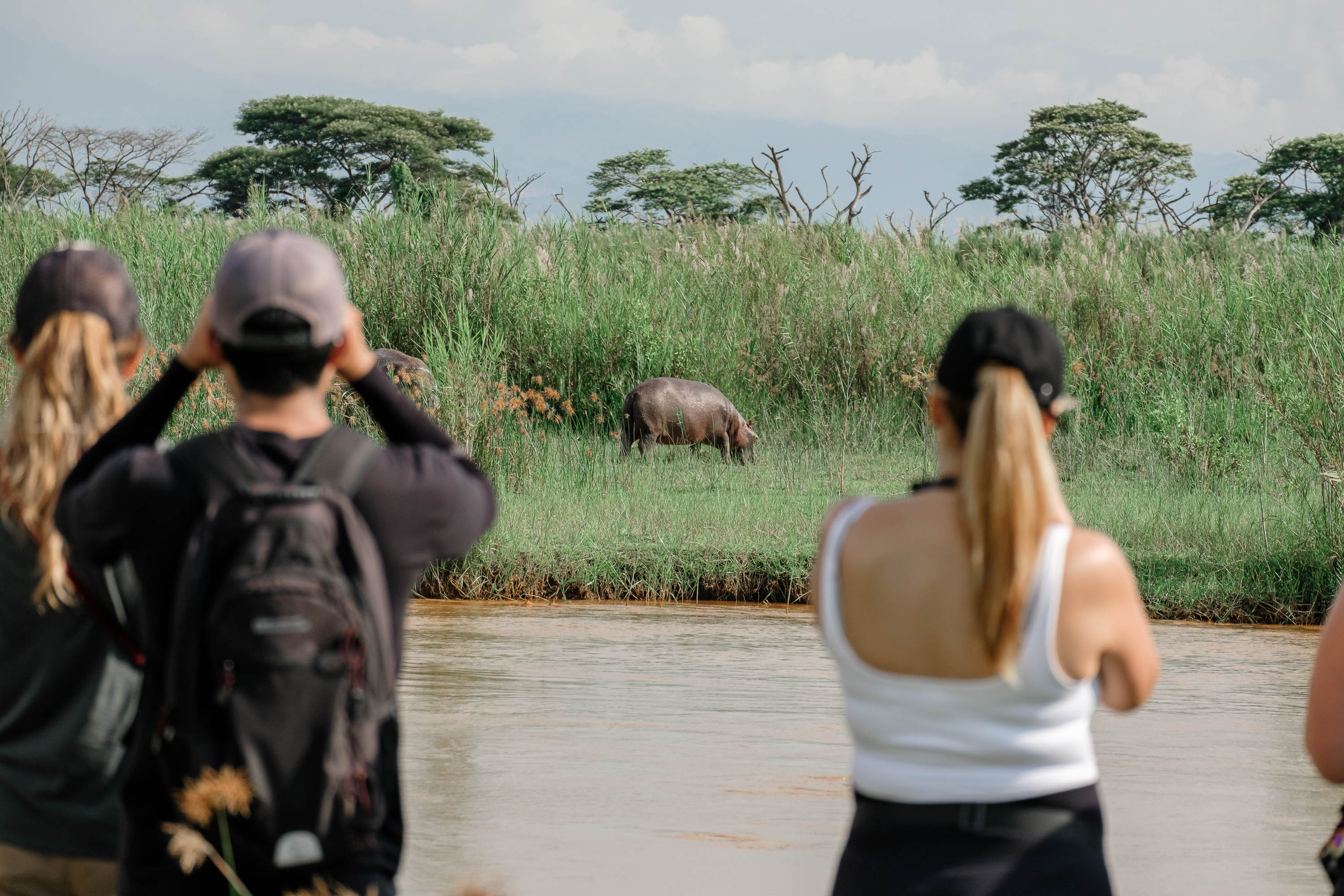 Students spotting hippos in the wild