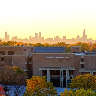 A photo of the sunrise over Northeastern's Main Campus, with Bernard J. Brommel Hall in the foreground surrounded by orange, yellow and green-leafed trees and the Chicago skyline in the background.