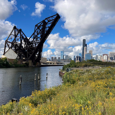 A photo of the Chicago River with the Chicago skyline in the background as seen from Ping Tom Park. Photo courtesy of Friends of the Chicago River. 