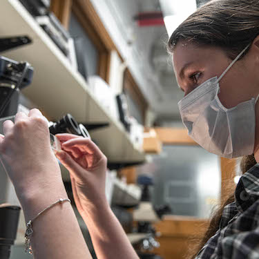 Photo of a student in a laboratory looking at preparing to look through a microscope.