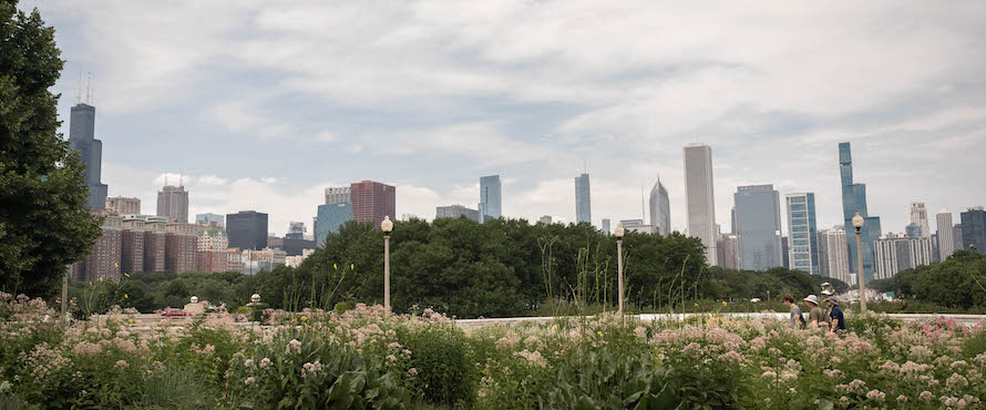 A photo of the Chicago skyline with trees and other greenery in the foreground.