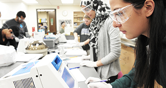 Several students working in the chemistry lab