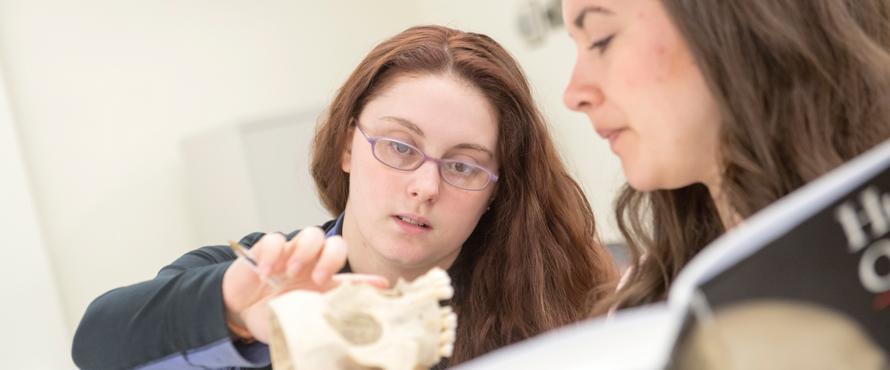 Students in class examining bone fragments. 