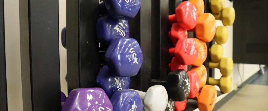 Picture displaying weight rack holding different colored weights.