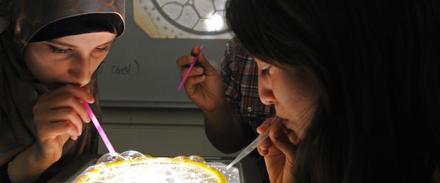 Students use bubbles to study math during a Nov. 13 class.