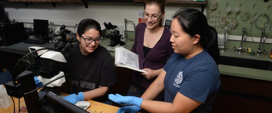 Jennifer Kawaguchi (left) and Olivia Choi (right) work with Assistant Professor of Biology Sarah Orlofske.