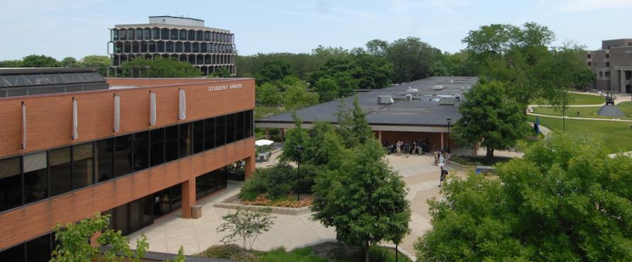 Northeastern Illinois University Commons