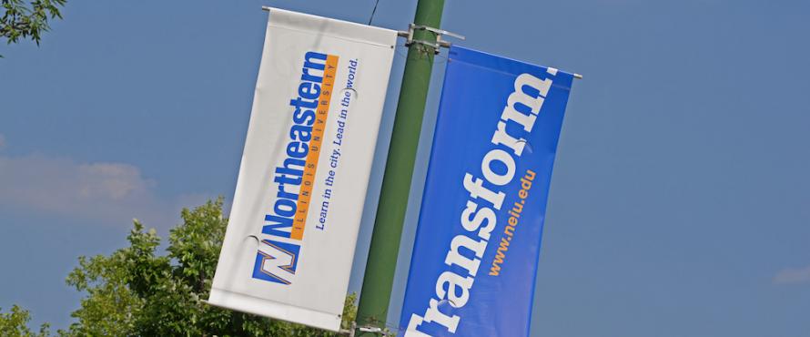 Lighpole banners displaying a banner with the Northeastern wordmark and a banner with the word Transform