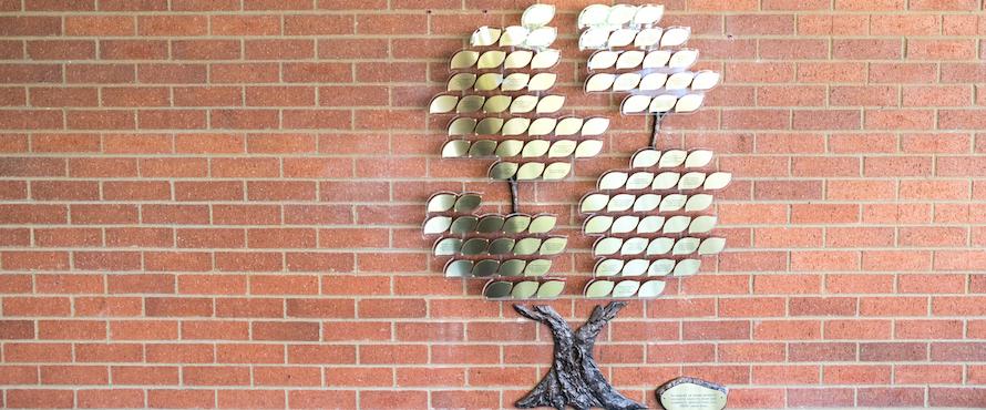 Photo of Northeastern's Memorial Tree with gold leaves against a brick wall in the Reading Room