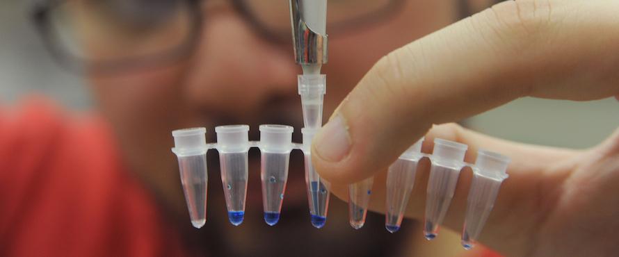 Photo of a lab test being conducted with test tubes