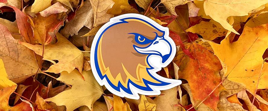 The new Goldie logo atop a bed of autumn leaves