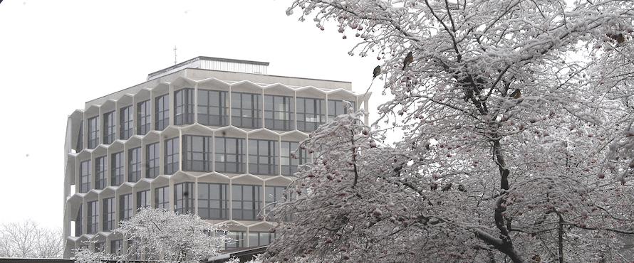 Photo of the Sachs Administration Building surrounded by a snow covered tree with small birds on the branches