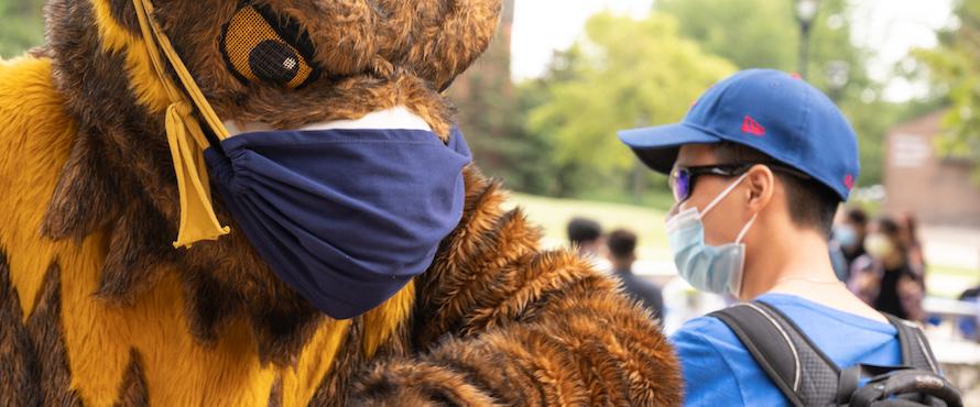 Photo of NEIU's Goldie mascot wearing a mask, giving an elbow bump to a person wearing a face mask and blue baseball hat