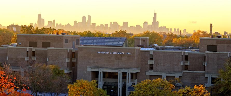 The Chicago skyline silhouetted in the background to the east of Bernard Brommel Hall