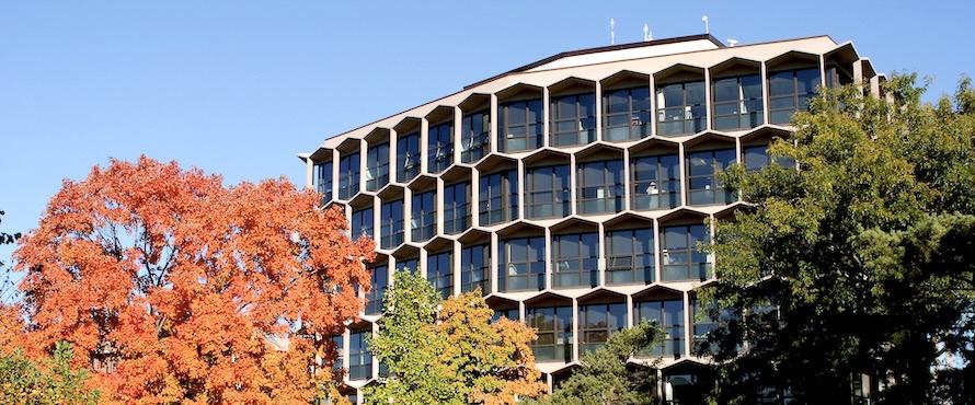 A photo of Northeastern's Sachs Administrative Building surrounded by trees with green, orange and red leaves in autumn. 