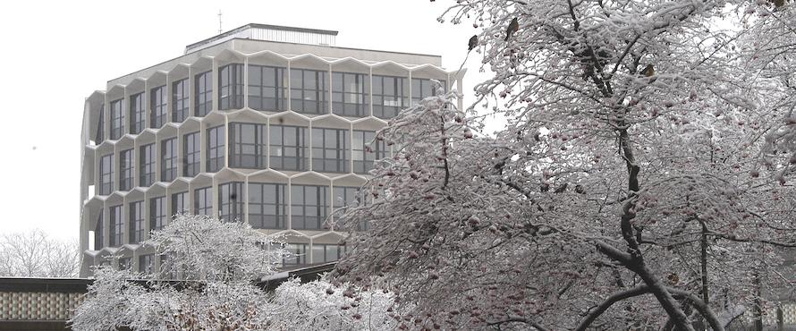 A photo of Northeastern's Sachs Administrative Building surrounded by trees covered in snow. 
