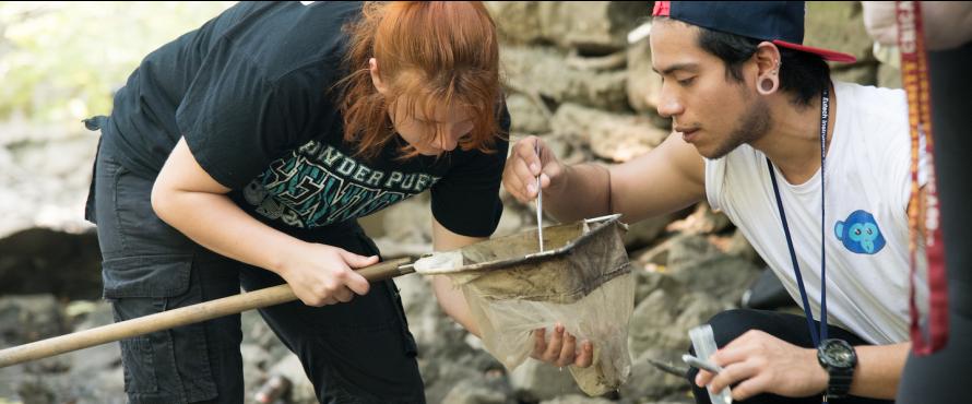 Students take samples from the Chicago River