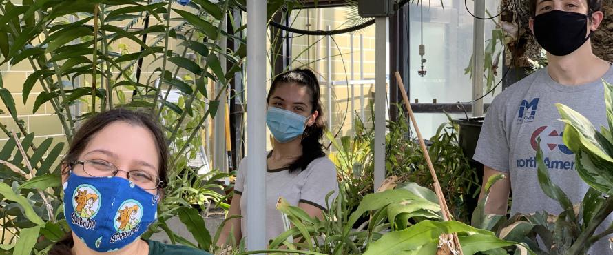 Three people inside a greenhouse