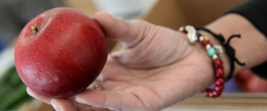 A hand holding a red apple