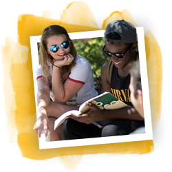 Northeastern students