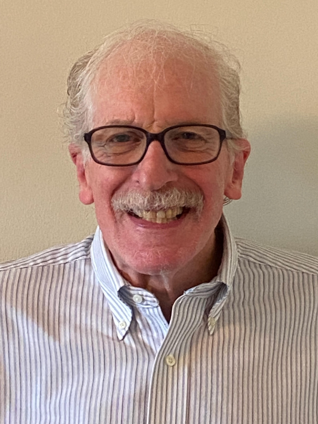 Professor Emeritus Steven Riess