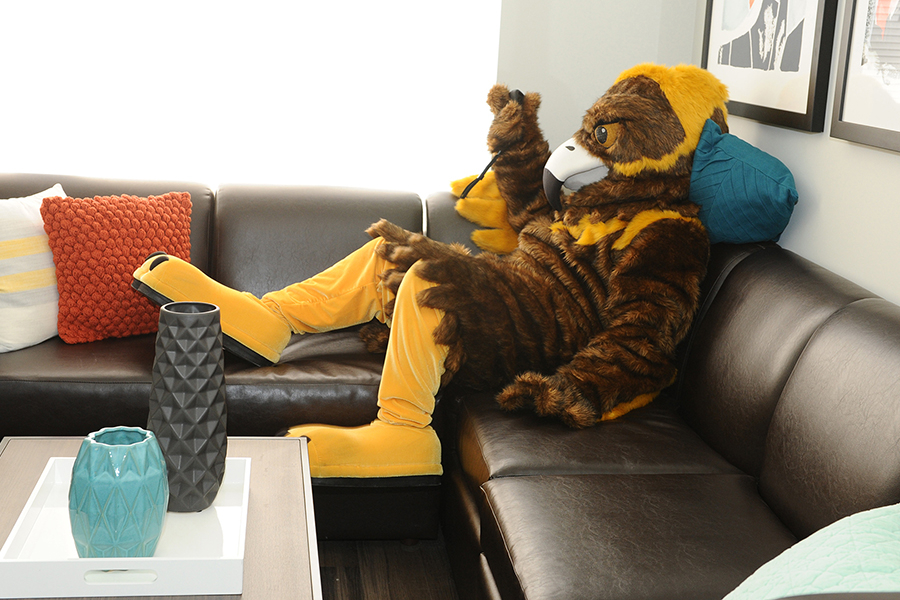 Goldie sitting on the sofa in a Nest apartment