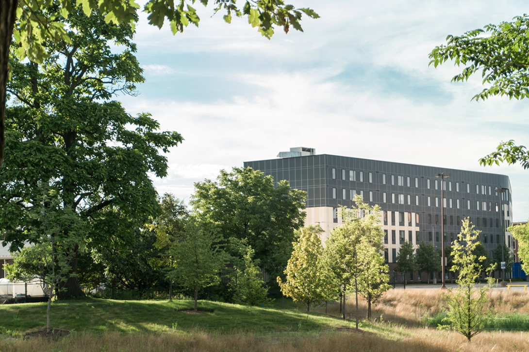 Exterior of the Nest on a beautiful day.