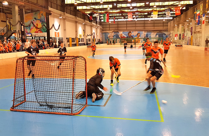 floor hockey