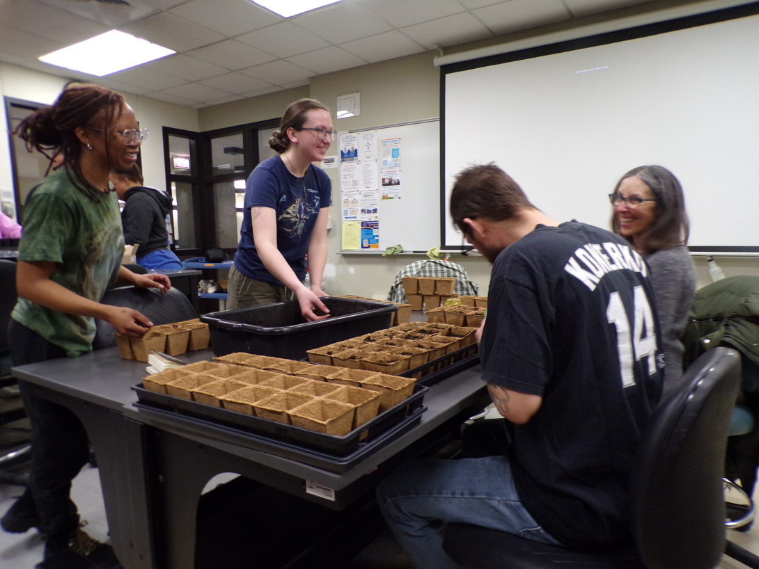 Four people planting plants while smiling.