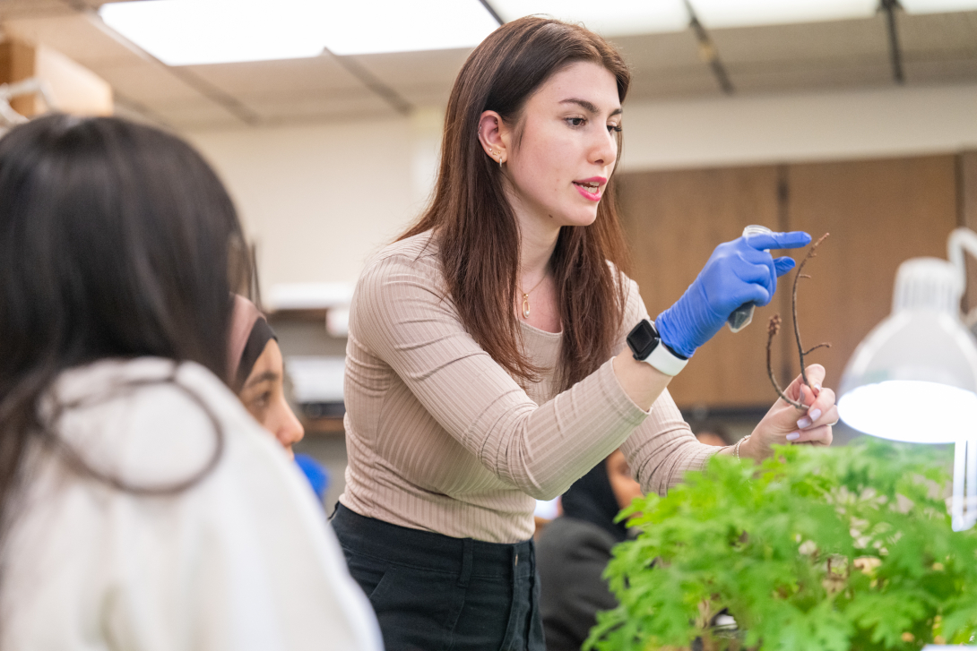 Student giving a workshop about plants to a group of young students.