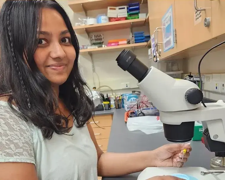 Student Doing Research